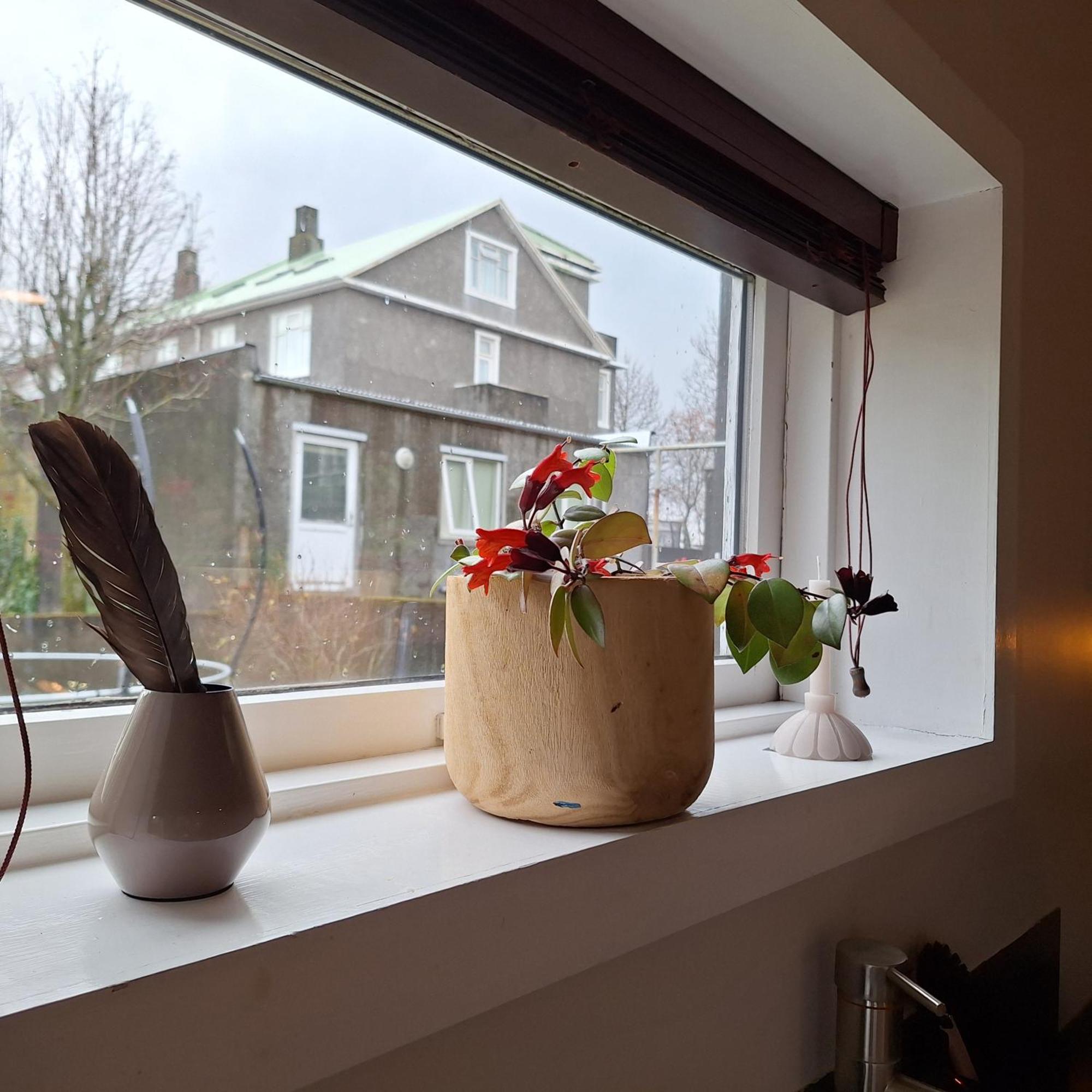 Central Reykjavik - Garden Cottage Exteriér fotografie